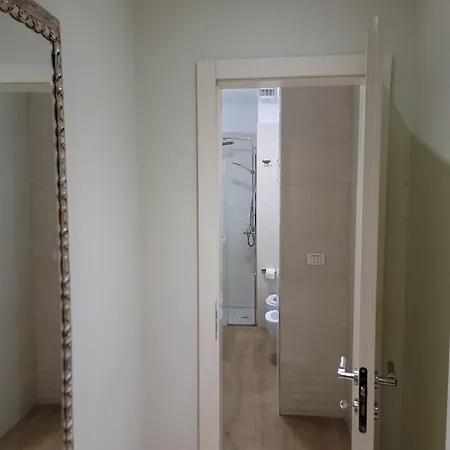 Helianthus, By Bloom In 티라나