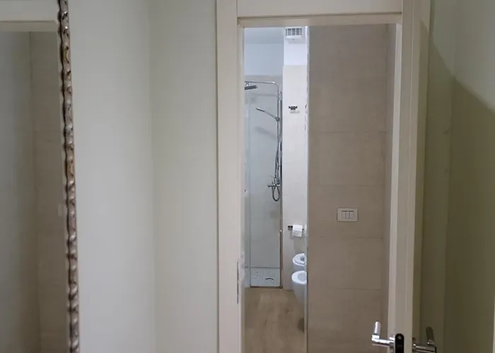 Helianthus, By Bloom In Тирана