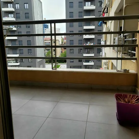 Helianthus, By Bloom In Apartment *