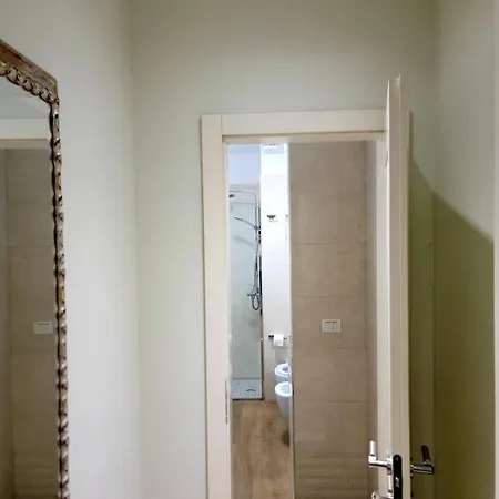 Helianthus, By Bloom In Apartment Tirana