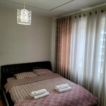 Helianthus, By Bloom In Tirana