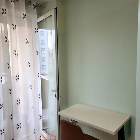 Helianthus, By Bloom In Apartment Tirana