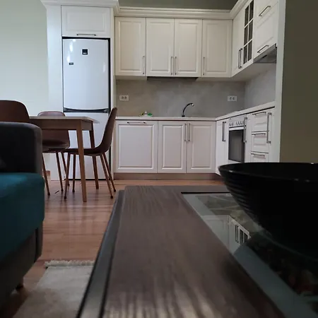 Helianthus, By Bloom In Apartment