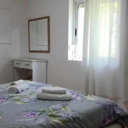 Helianthus, By Bloom In