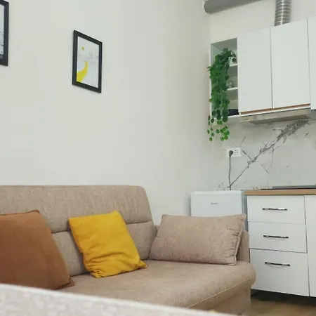 Helianthus, By Bloom In Apartament *