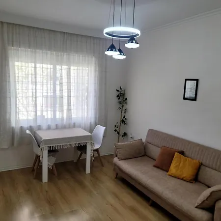 Helianthus, By Bloom In Apartment *