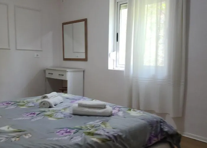 Helianthus, By Bloom In