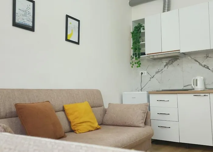 Helianthus, By Bloom In Apartament *