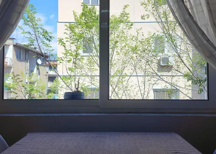 Helianthus, By Bloom In Apartament