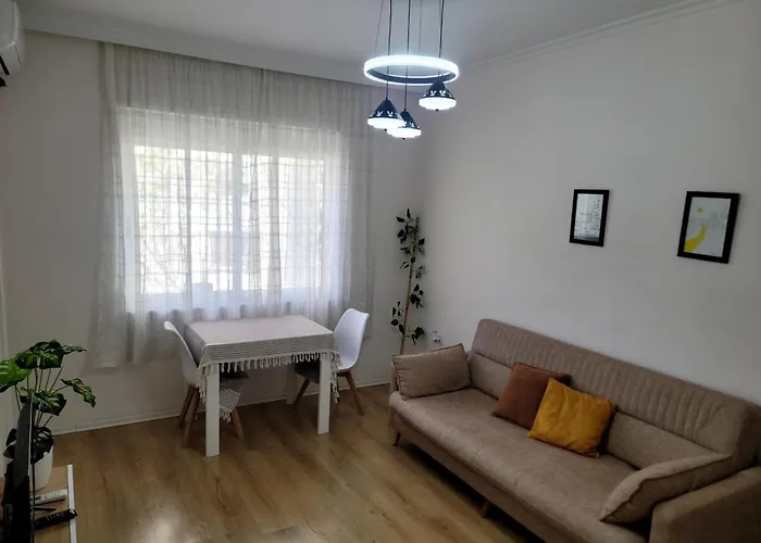 Helianthus, By Bloom In Apartament *